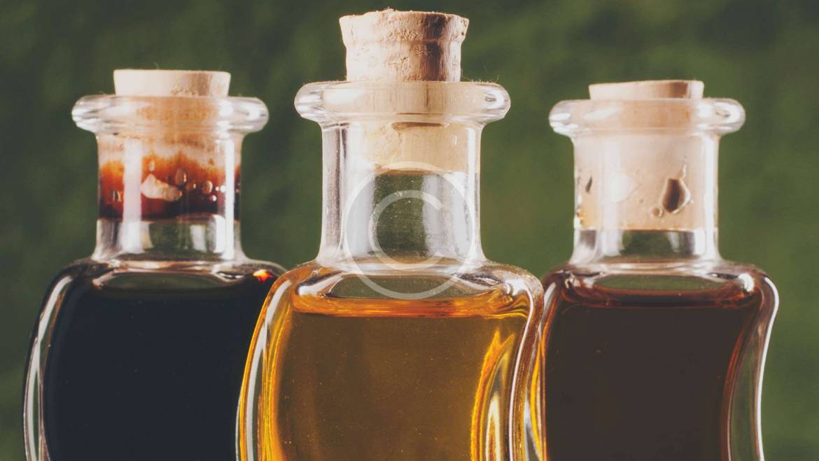 Finding The Best Olive Oils in The World